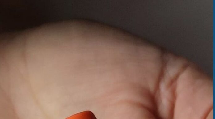 22+ Fall Pumpkin Nails